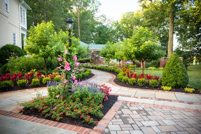 walkway plantings
