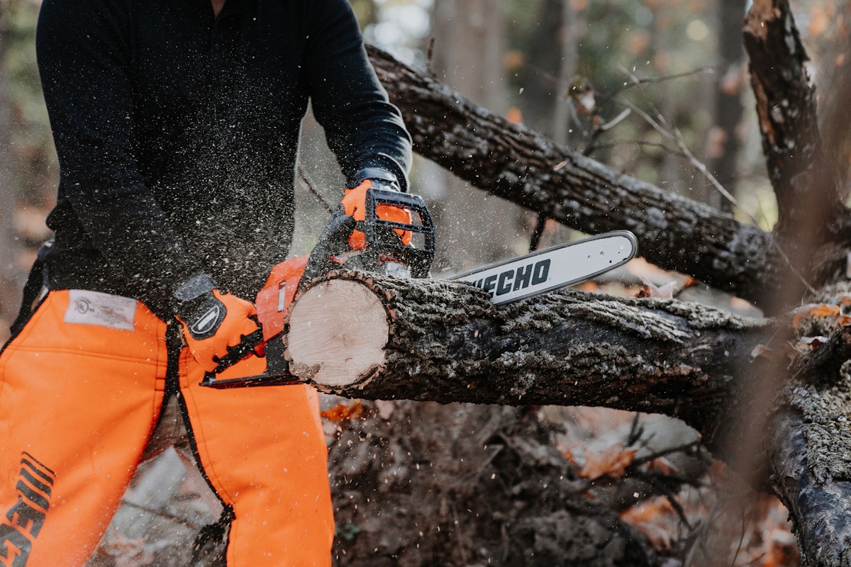 Lightest gas powered chainsaw outlet