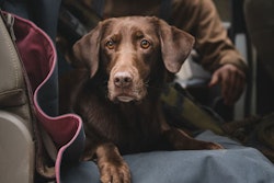 Yeti Lowlands Blanket