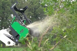 diamond mowers dc pro mulcher cutting through tree