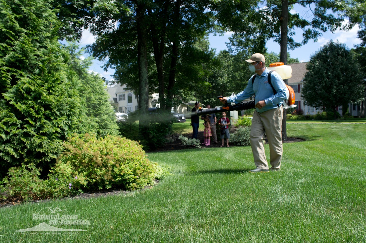 NaturaLawn of America survey reveals major pest worries | Total ...