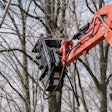 FX26 forestry mulcher on a kubota mini excavators
