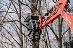 werk-brau fx26 forestry mulcher on excavator cutting trees