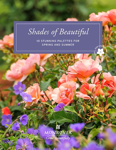 Shadesof Beautiful 2025 Final Cover