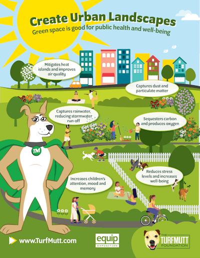 infographic