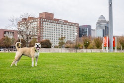 Water Front Park