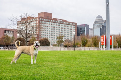Water Front Park