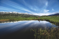 Perc Propane’s Role For A Clean, Resilient Future On Earth Day
