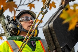 Tree Care Education 5