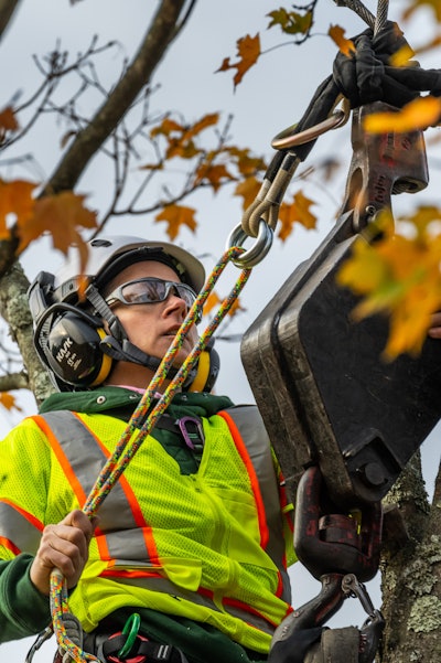 Tree Care Education 5