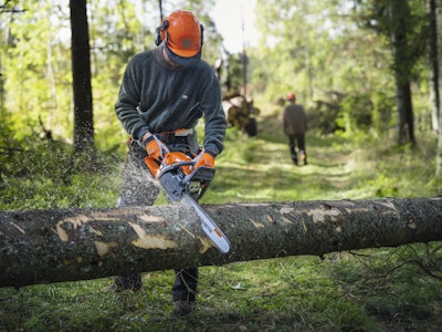 450 X Rancher Lifestyle