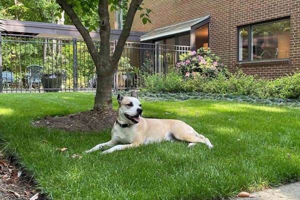 2026 Trendspic Mulligan