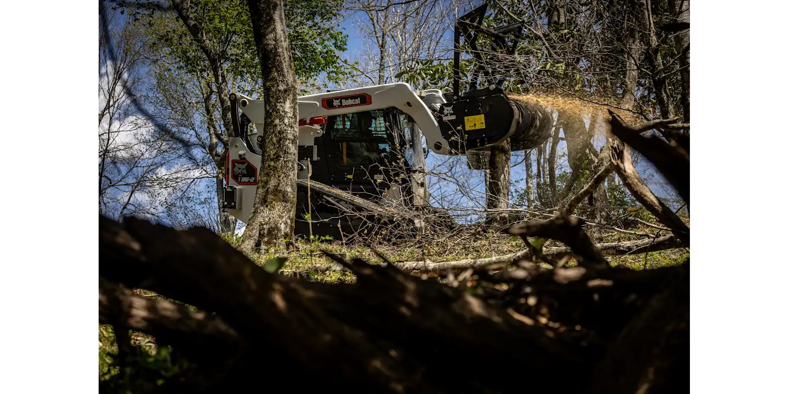 Bobcat